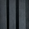 Schwarze Eiche